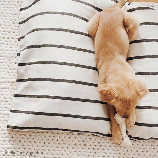 Ticking stripe dog bed deals