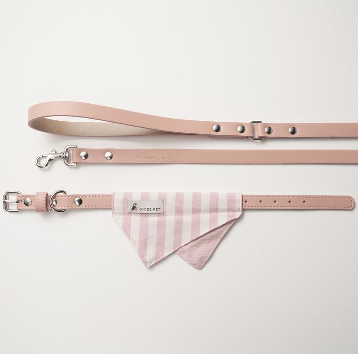 COLLAR AND LEASH DAISY - SMALL