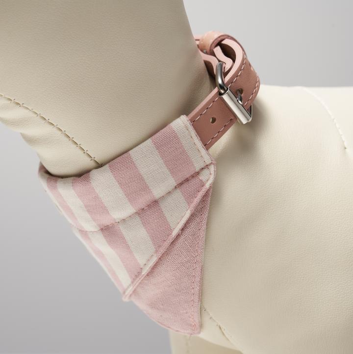 COLLAR AND LEASH DAISY - SMALL