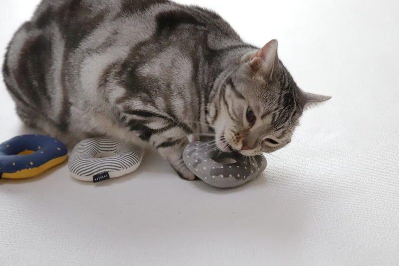 애완 동물 너무 좋은 고양이 너트 장난감 수박