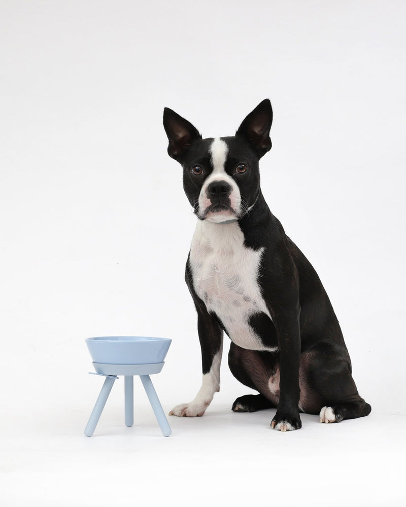 OREO TABLE - SKY BLUE
