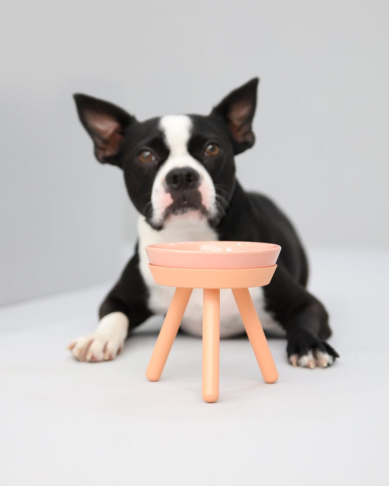 OREO TABLE - PINK